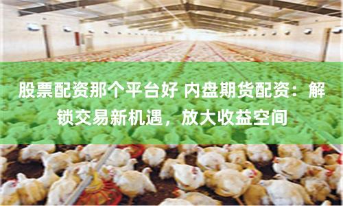 股票配资那个平台好 内盘期货配资：解锁交易新机遇，放大收益空间