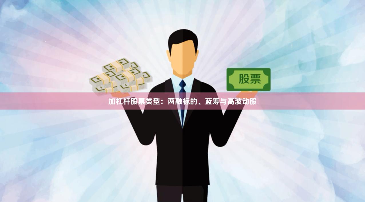 加杠杆股票类型：两融标的、蓝筹与高波动股